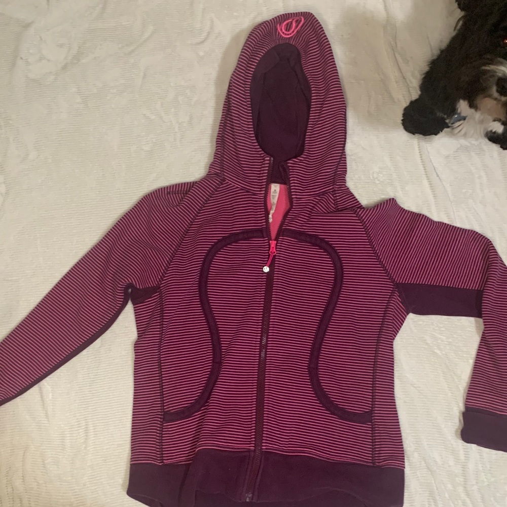 Zip up hoodie Pink/burgundy striped.